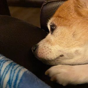 Meet your Posher, Lynn